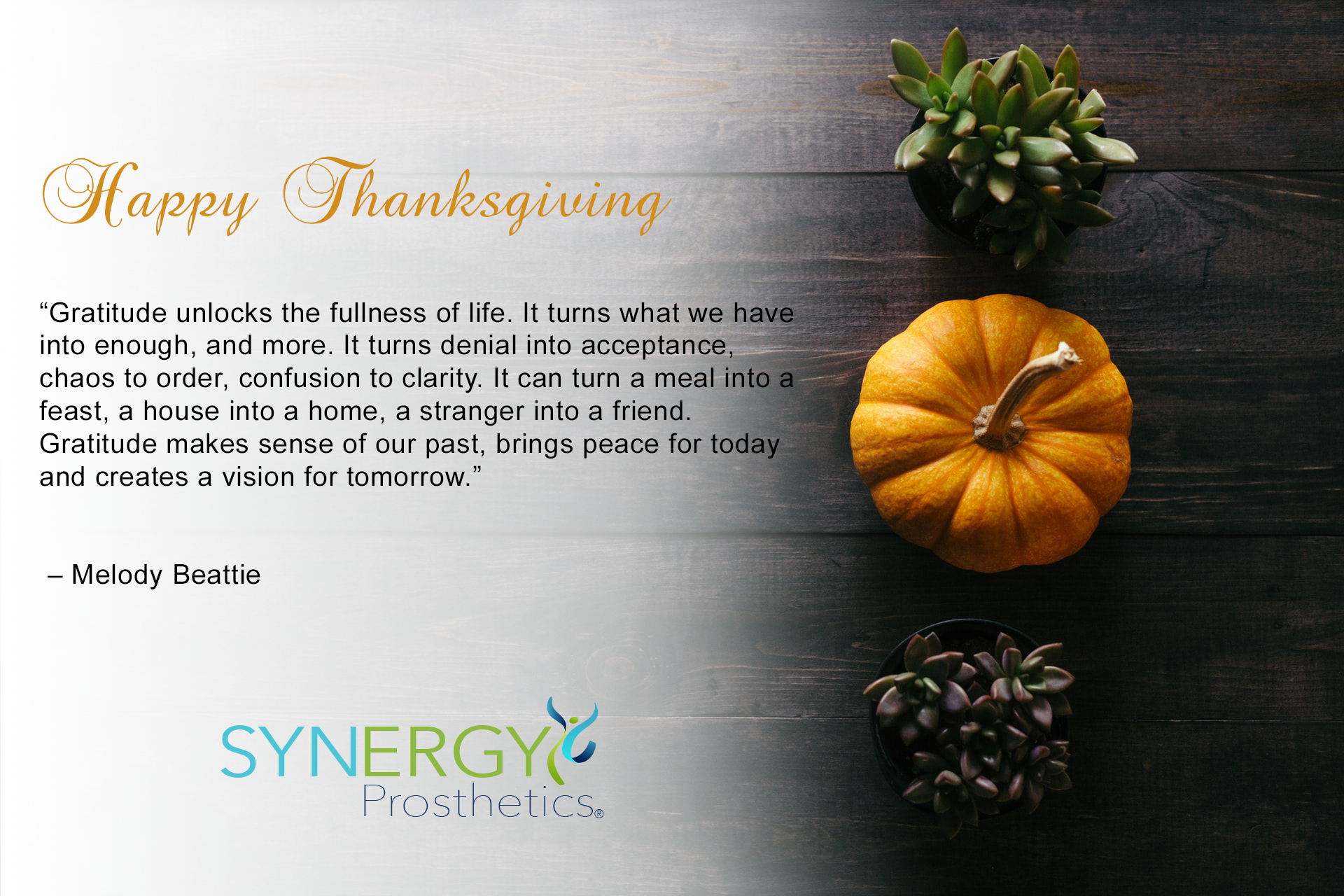 Embracing Gratitude and Innovation: Happy Thanksgiving - VitalTech
